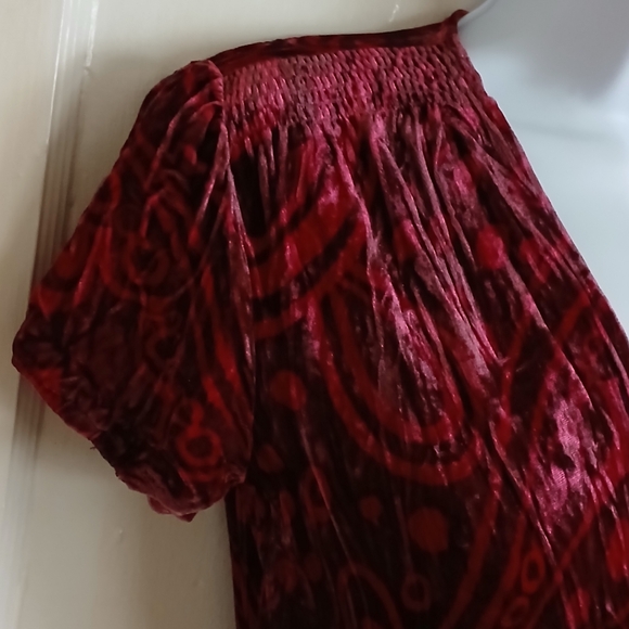 Vintage Red Velvet Maxi Dress Silk Blend Whimsigoth Burnout - Picture 6 of 15